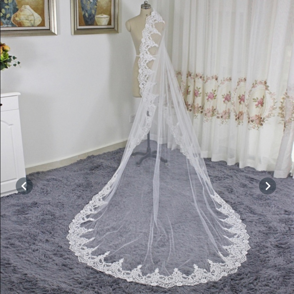 Cathedral length white veil with comb.